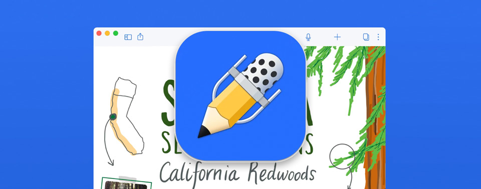 notability in app purchases